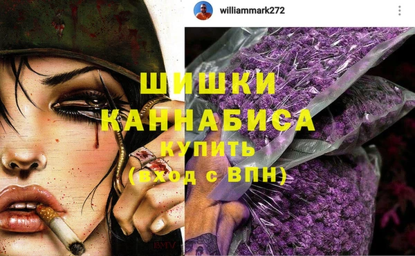 мдпв Козловка