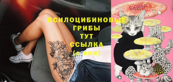 мдпв Козловка